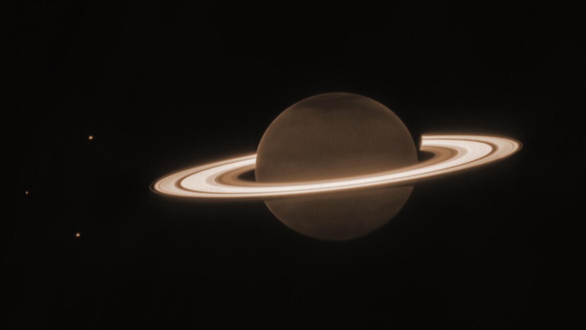 Saturn s rings are glowing in Webb Space Telescope s latest cosmic